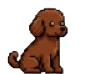 Ari
